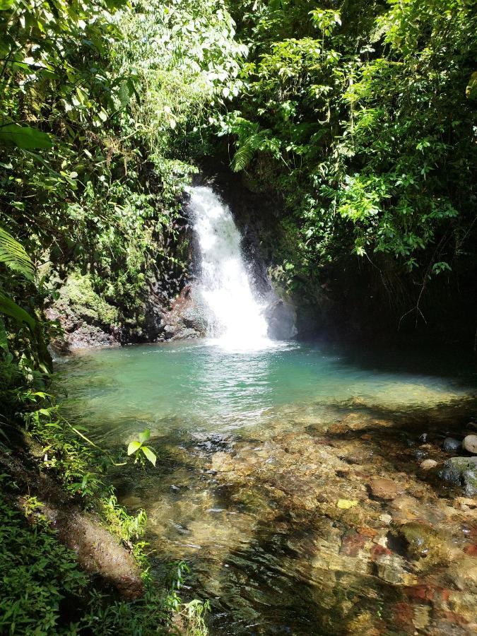 Pozas Y Cascadas La Presa Rio Cuarto Bagian luar foto